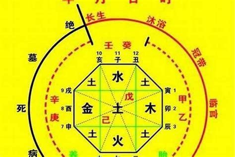 喜用神木職業|八字喜用神查詢